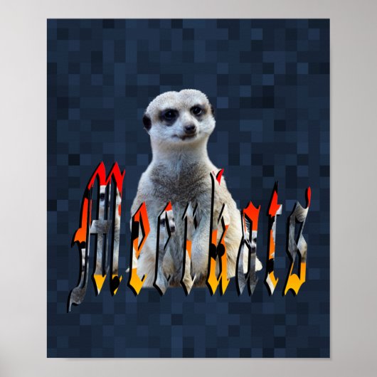 Meerkat mit Meerkats-Logo, Poster (Vorne)