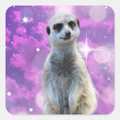 Meerkat mit Sparkle Quadratischer Aufkleber (Vorderseite)