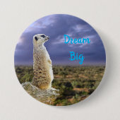 Meerkat mit Traumbotschaft, Button (Vorderseite)