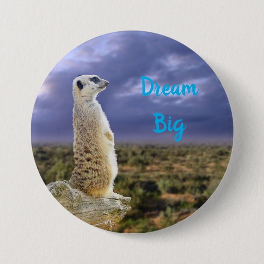 Meerkat mit Traumbotschaft, Button (Vorderseite)