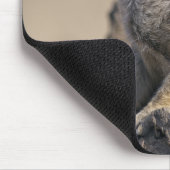Meerkat Mousemat Mousepad (Ecke)