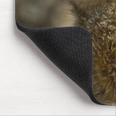 Meerkat Mousepad (Ecke)