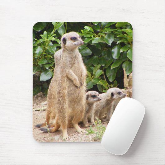 meerkat mousepad (Mit Mouse)