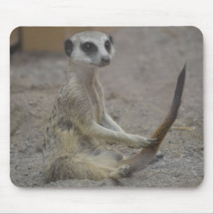 Meerkat Mousepad
