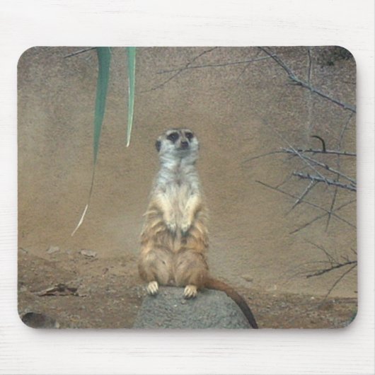 Meerkat Mousepad (Vorne)