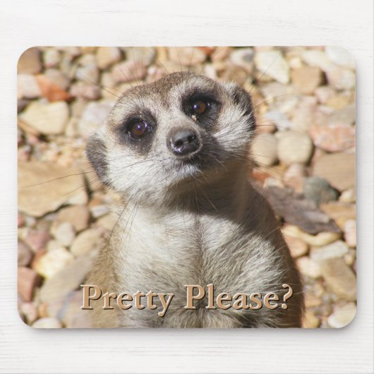 Meerkat Mousepad (Vorne)