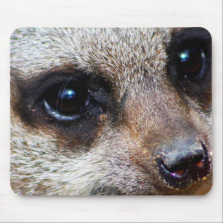Meerkat Mousepad