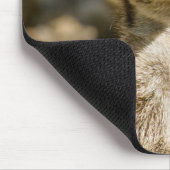Meerkat Mousepad (Ecke)