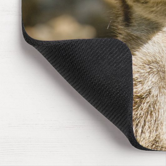 Meerkat Mousepad (Ecke)