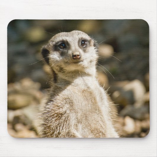 Meerkat Mousepad (Vorne)