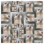 Meerkat Muster Stoff (Nahaufnahme)