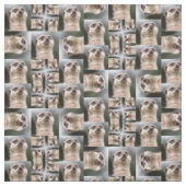 Meerkat Muster Stoff (Muster)