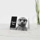Meerkat Note Card Dankeskarte (Vorderseite)
