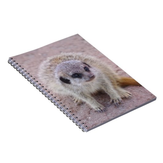 Meerkat-Notebook Notizblock (Rechte Seite)