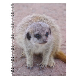 Meerkat-Notebook Notizblock