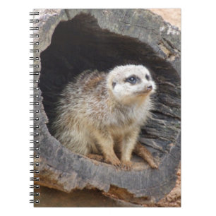 Meerkat-Notebook Notizblock