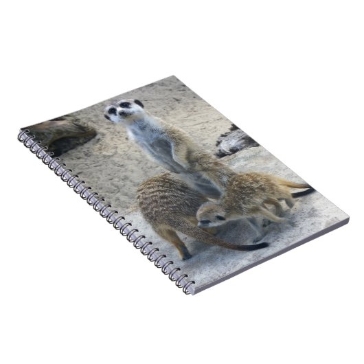 Meerkat Notizblock (Rechte Seite)