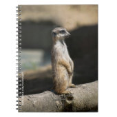 Meerkat Notizblock (Vorderseite)
