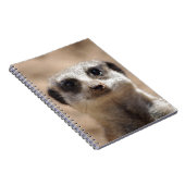 Meerkat Notizblock (Rechte Seite)