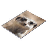 Meerkat Notizblock (Linke Seite)