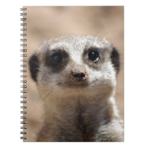 Meerkat Notizblock