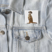 Meerkat oder Suricate - Suricata suricatta Button (Beispiel)