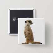 Meerkat oder Suricate - Suricata suricatta Button (Vorne & Hinten)