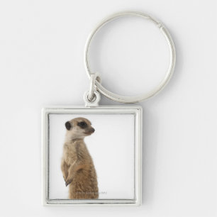 Meerkat oder Suricate - Suricata suricatta Schlüsselanhänger