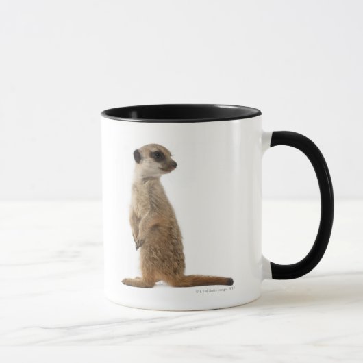 Meerkat oder Suricate - Suricata suricatta Tasse (Rechts)