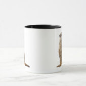 Meerkat oder Suricate - Suricata suricatta Tasse (Zentrum)