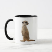 Meerkat oder Suricate - Suricata suricatta Tasse (Links)