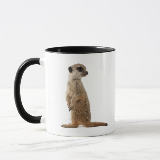Meerkat oder Suricate - Suricata suricatta Tasse (Links)