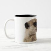 Meerkat oder Suricate - Suricata suricatta Zweifarbige Tasse (Links)