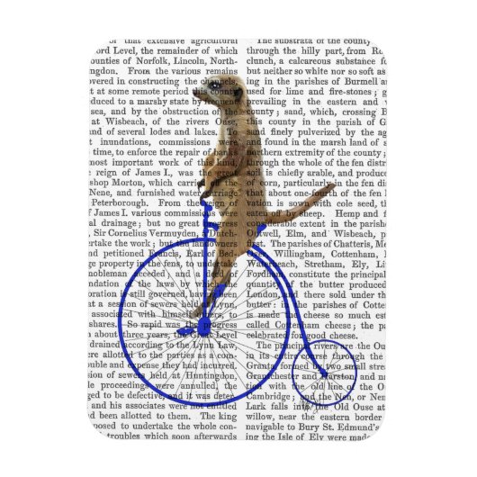 Meerkat On Blue Penny Farthing Magnet (Vertikal)