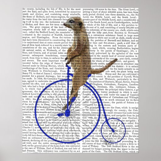 Meerkat On Blue Penny Farthing Poster (Vorne)
