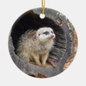Meerkat Ornament (Vorne)