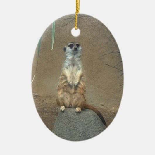 Meerkat Ornament (Vorne)