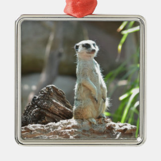 Meerkat Ornament Aus Metall