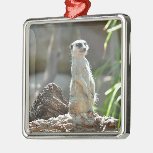 Meerkat Ornament Aus Metall (Links)