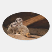 Meerkat Oval Sticker (Vorderseite)