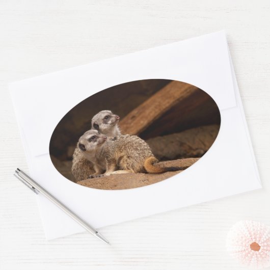 Meerkat Oval Sticker (Umschlag)