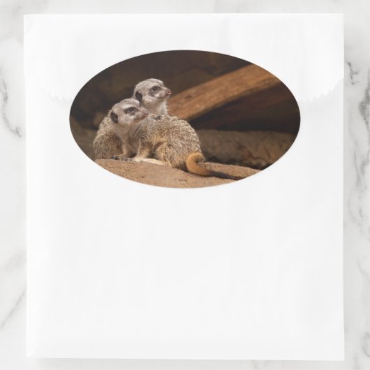 Meerkat Oval Sticker (Tasche)