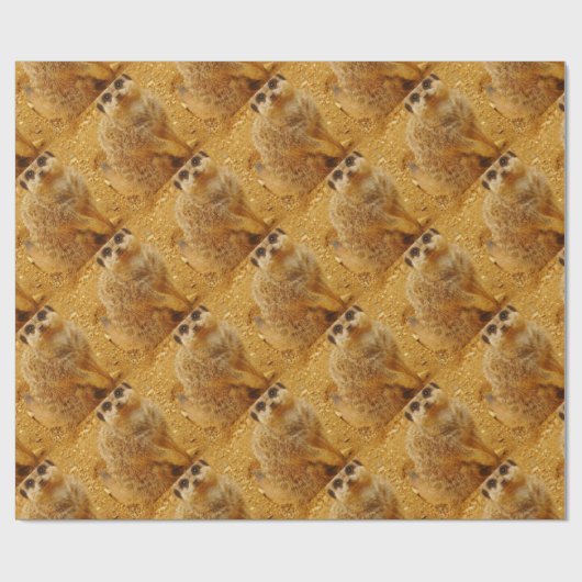 Meerkat Packpapier (Flach)