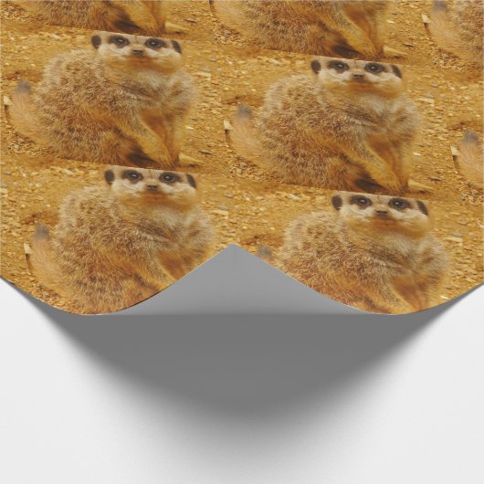 Meerkat Packpapier (Ecke)