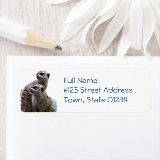 Meerkat Pair Rücksendeadresse (Insitu)