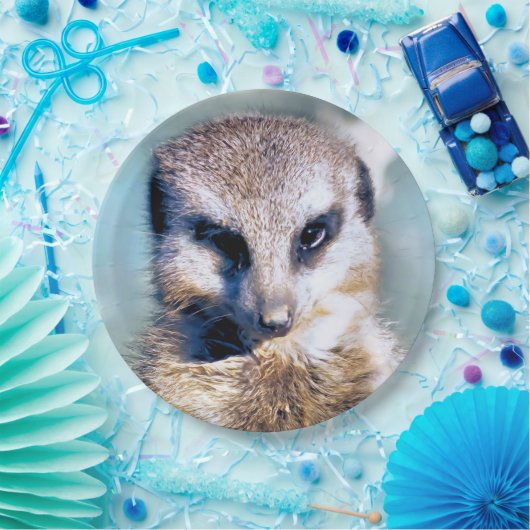 MEERKAT-Papierplatte Pappteller (Party)