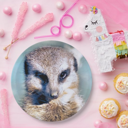 MEERKAT-Papierplatte Pappteller (Party)