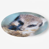 MEERKAT-Papierplatte Pappteller (Schrägansicht)