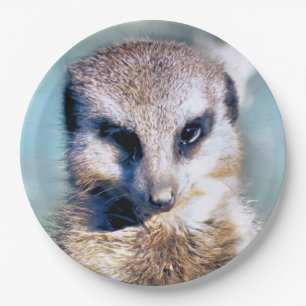MEERKAT-Papierplatte Pappteller