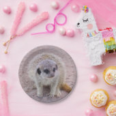 Meerkat PapierTeller (Party)